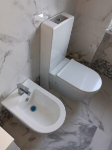 Installazione sanitari (15)